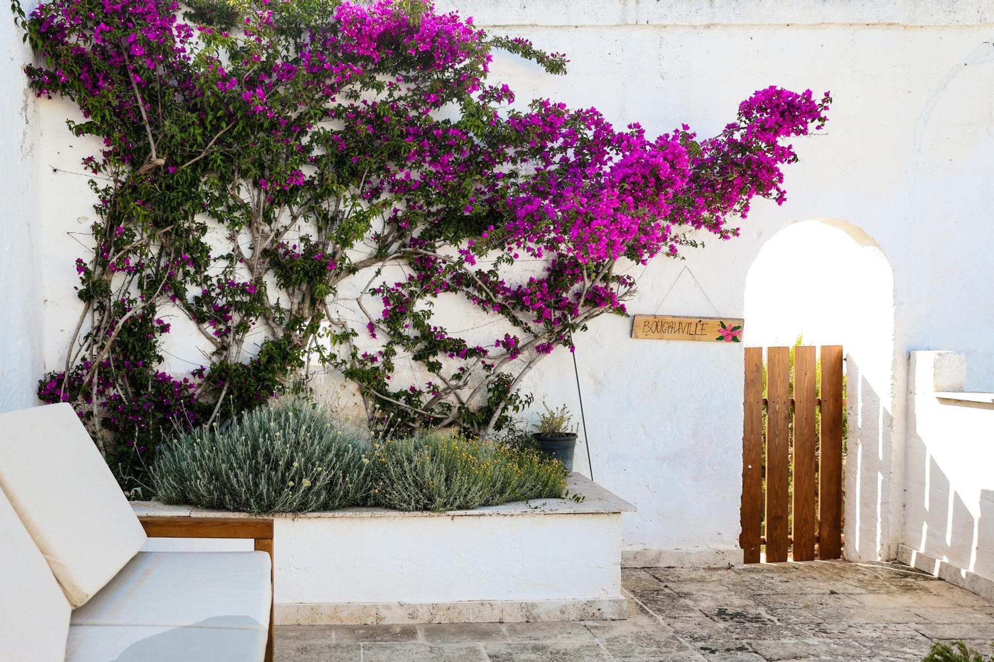 Masseria Piccole Taverne Rosa Marina Exterior photo